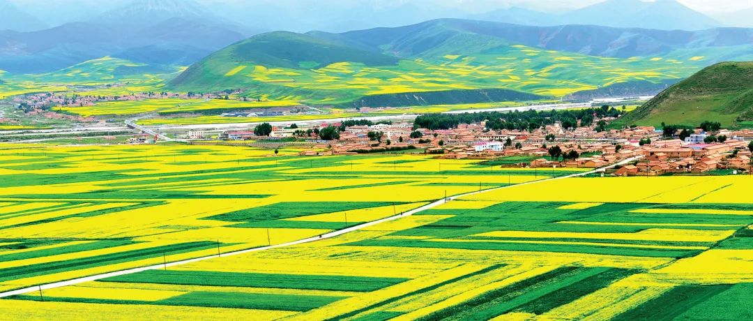 1670317351139064.jpg 1670317351139064.jpg