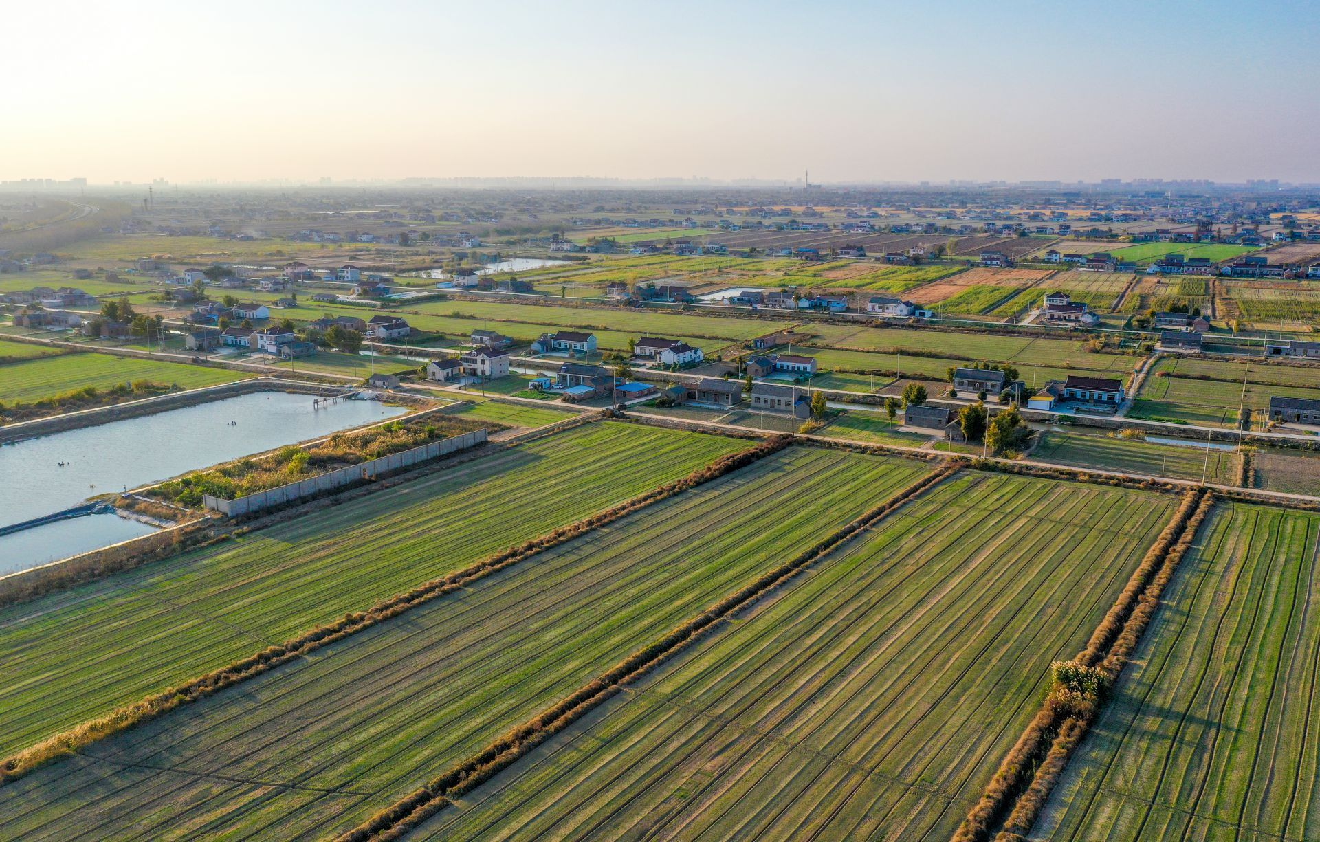 1670322574531972.jpg 1670322574531972.jpg